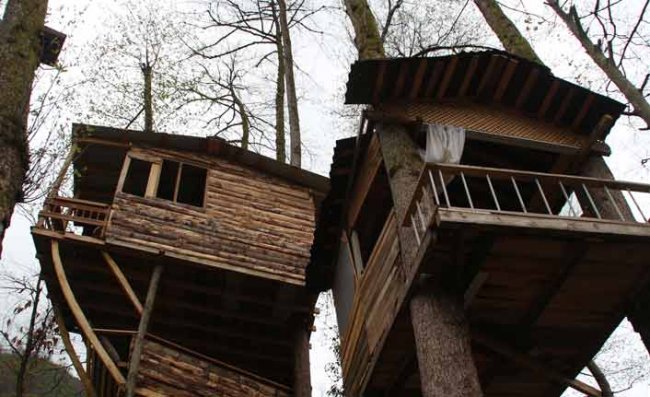 Rizeli Marangozun Pandemi Sığınağı