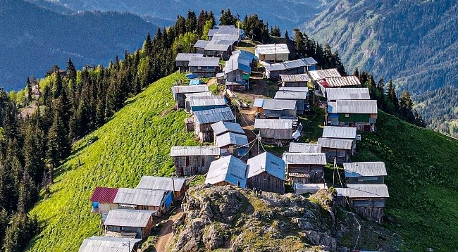 Pokut Değil Boselta