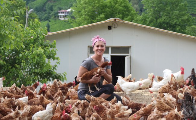 Özlediği Köyüne Dönen Sevtap, Tavuk Çiftliği Kurdu