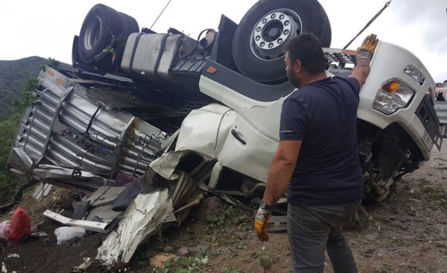 Rize'ye Gelen Hayvan Yüklü Tır Gümüşhane'de Devrildi