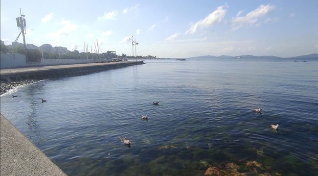 İstanbul kıyılarında müsilaj etkisini kaybetti