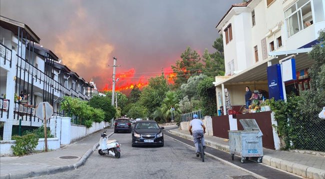 Marmaris ve Milas'ta ormanlık alanda yangın çıktı