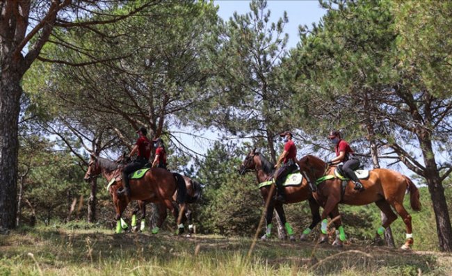 İstanbul'da ormanlara giriş yasaklandı