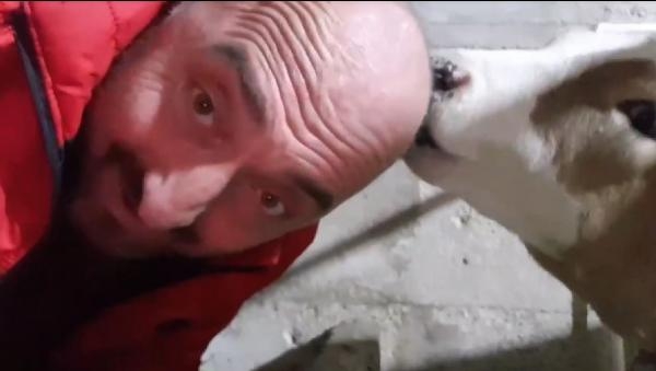 Saç çıksın diye kafasını buzağısına yalattı