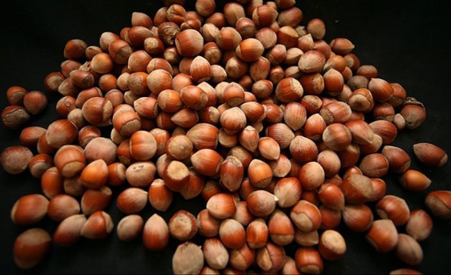 Doğu Karadeniz'den 7 ayda 842 milyon 641 bin dolarlık ihracat