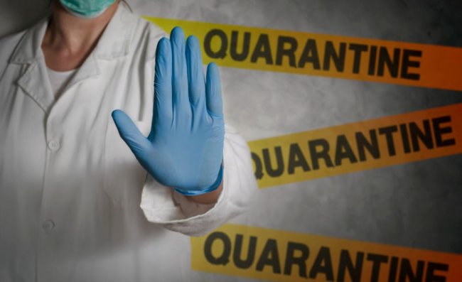 Rize'de Karantinayı İhlal Eden 24 Kişi Hakkında İşlem Yapıldı