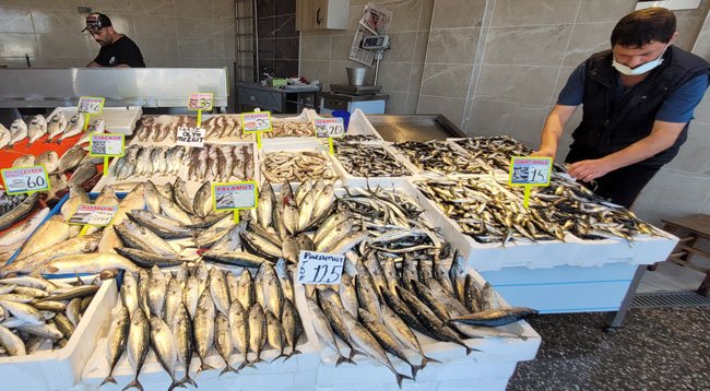 Karadeniz'de palamut da bollaştı