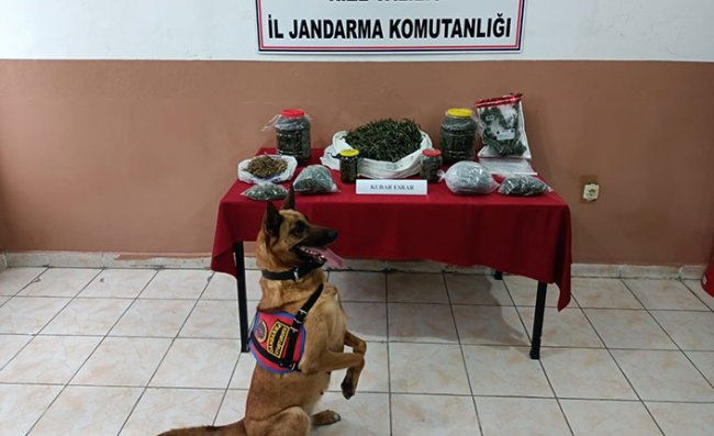 Rize'de son bir ayda 10,5 kilo esrar ele geçirildi