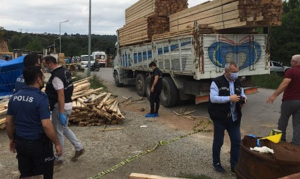 Üzerine kereste düşen kamyon şoförü öldü