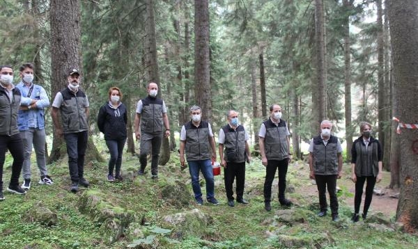 Doğu Karadeniz'de İlk Kez Görülen 'Katil Arı' İçin Biyolojik Mücadele