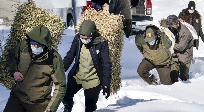 Gümüşhane’de Yaban Hayvanları Aç Bırakılmıyor
