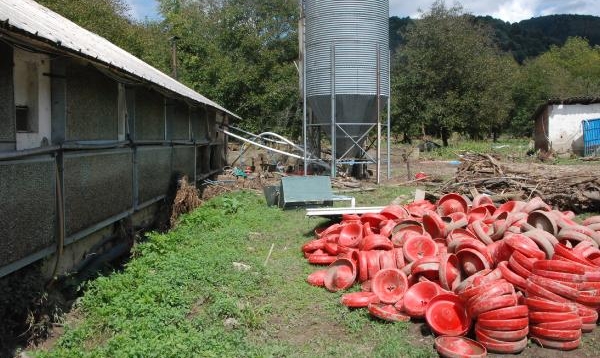 Bartın'da selde 24 bin tavuk öldü