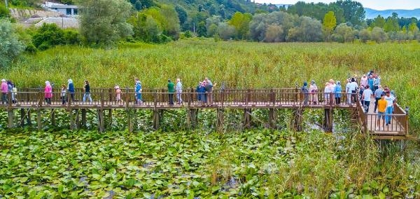 Kuş cenneti Efteni Gölü ziyaretçi akını