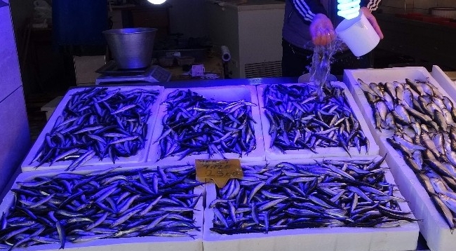 Balıkçılar da Vatandaşlar da Hamsiden Umudunu Kesti