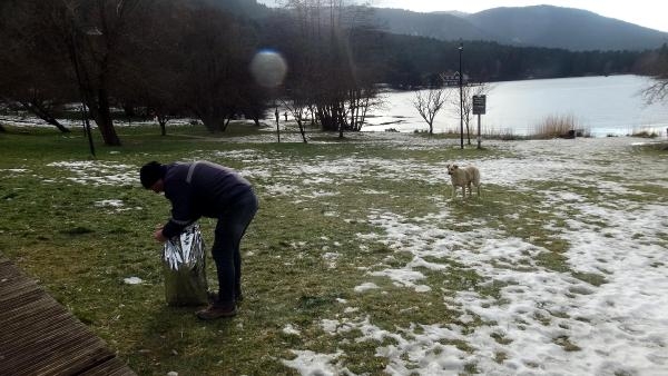 Gölcük Tabiat Parkı'ndaki kedi ve köpeklere mama bırakıldı