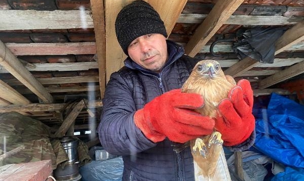 Mahallede Buldukları Şahin İçin Seferber Oldular