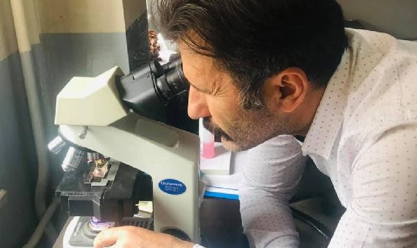 Romanya’daki ceviz zararlısını Türk bilim insanları tespit etti