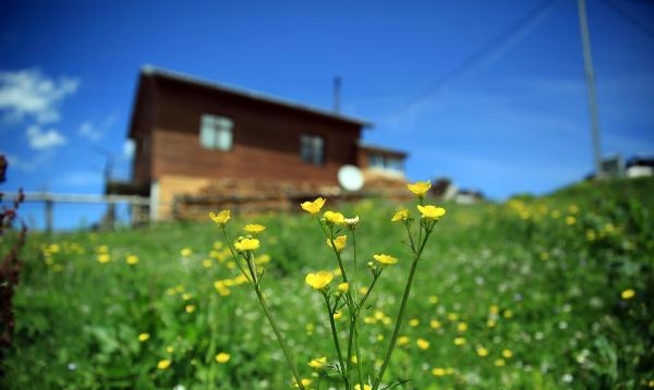 Koronavirüs Vakası Görülmeyen Yaylada Yaşıyorlar