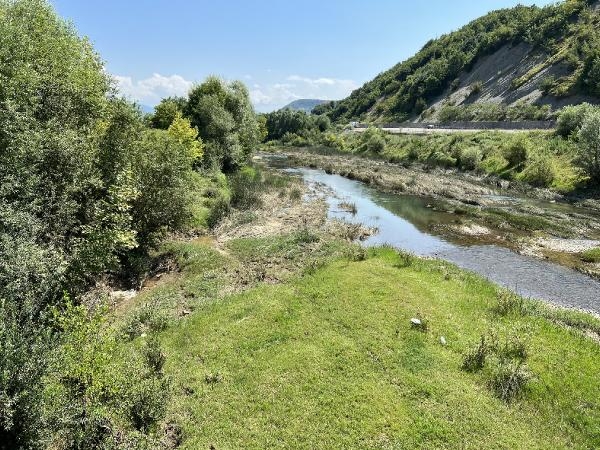 Bartın Irmağı'nda balık ölümlerine inceleme