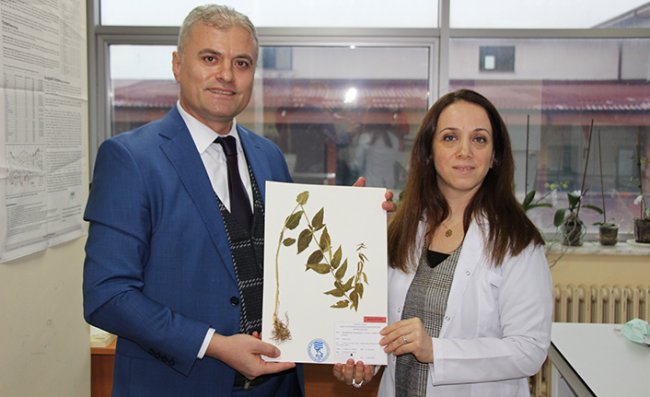 Türkiye'de yeni bir bitki türü keşfedildi