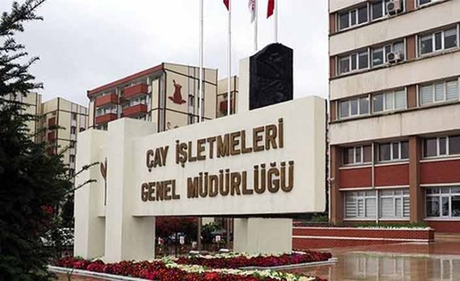 Yaş Çay Destekleme Primi Ödemeleri Üreticilerin Hesabına Aktarıldı