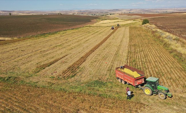 Tarım sektöründen tüm zamanların en yüksek 1. çeyrek ihracatı