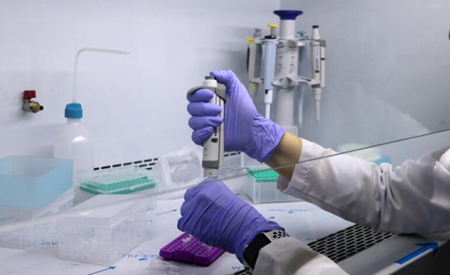 Antidepresanlar antibiyotik direncine neden oluyor