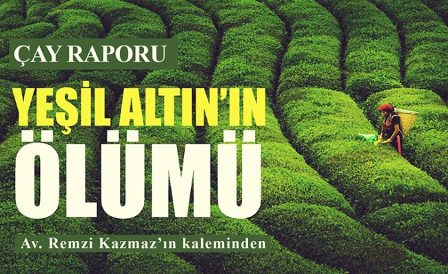 Kazmaz'ın Kaleminden 'Çay Raporu'
