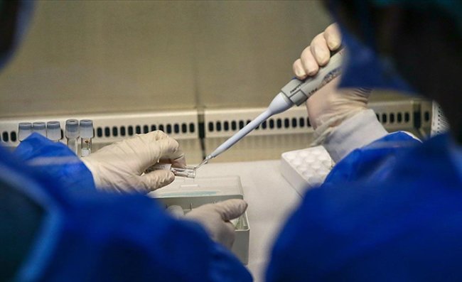 Maymun Çiçeği Virüsü Dünyanın Gündeminde