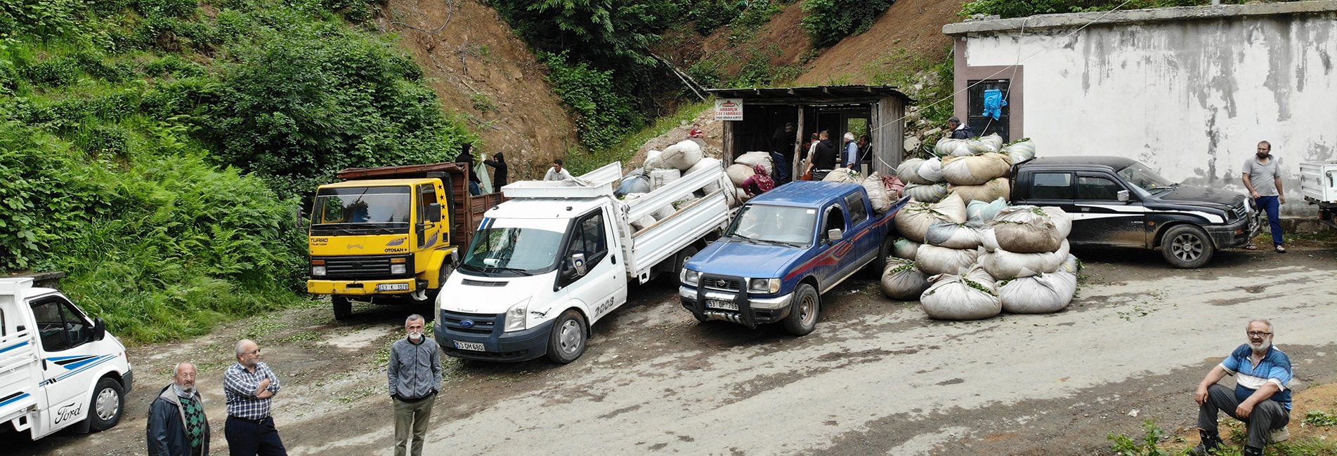 Alım Yeri Olmayınca Müstahsil Çayını Kamyon Üzerinde Satıyor