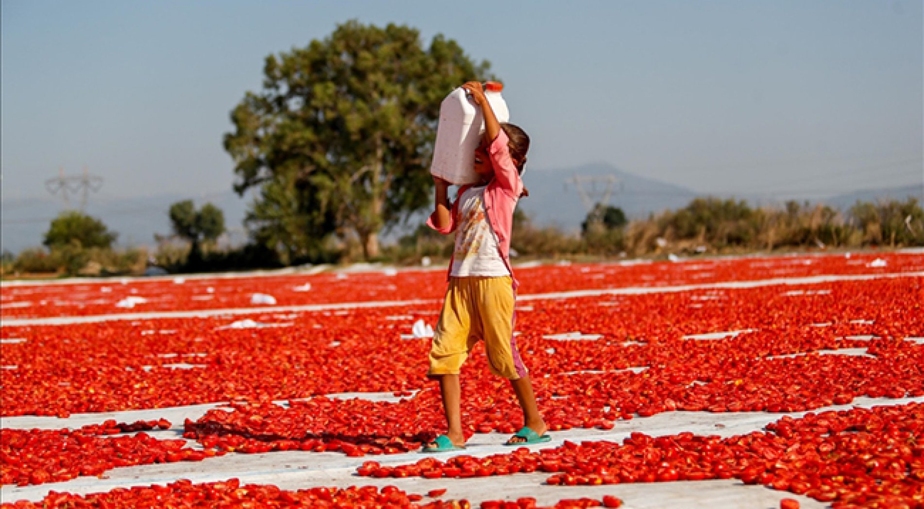 Dünya genelinde her 10 çocuktan biri çocuk işçi olarak çalışıyor