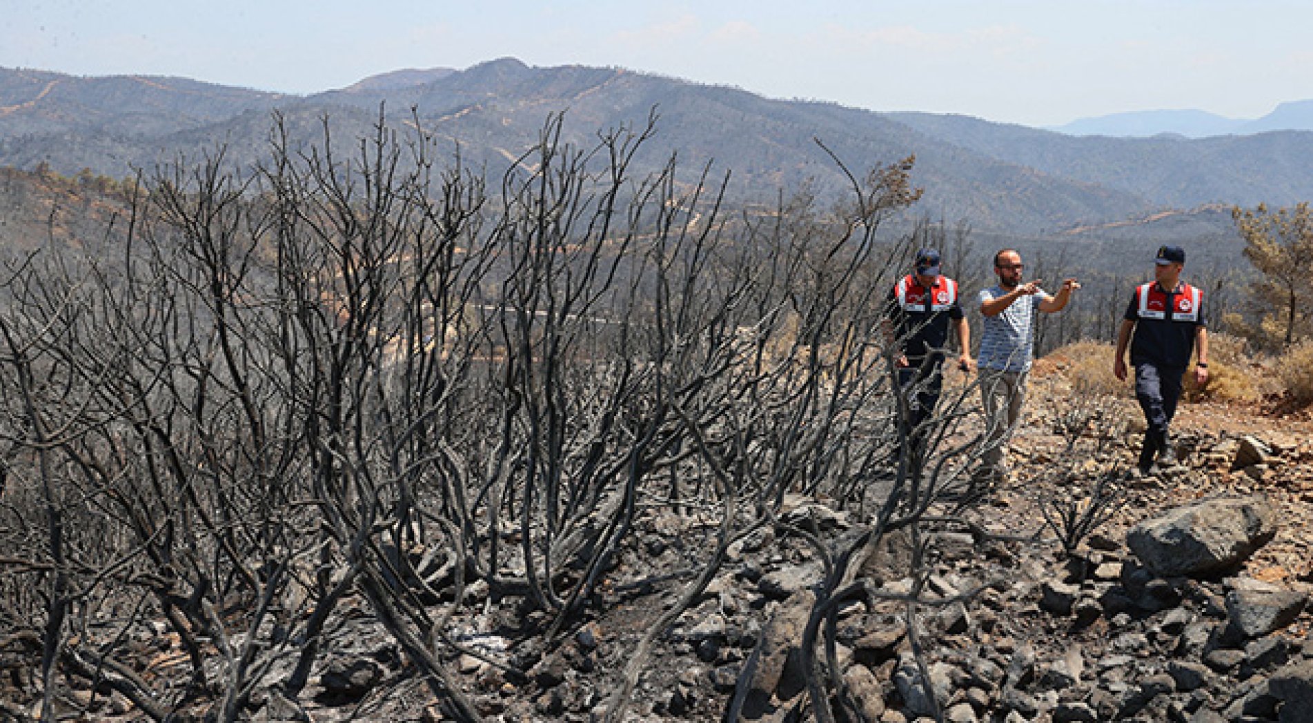 Marmaris'teki yangından etkilenen yaban hayvanları için devriye görevi