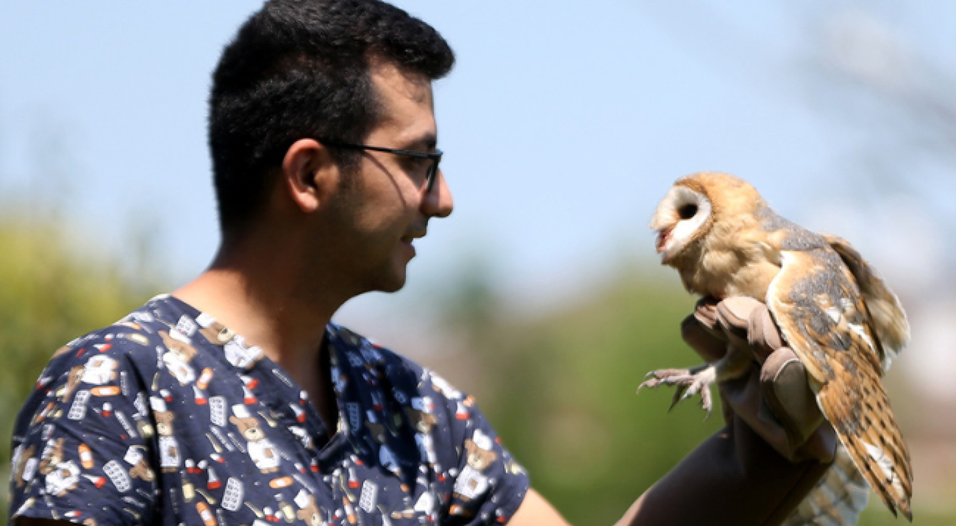 Yaralı baykuş yavruları, uzman ellerde sağlıklarına kavuşuyor