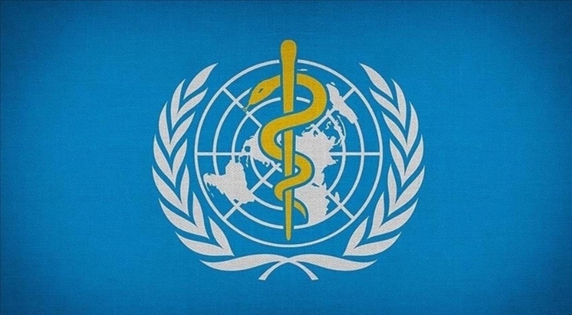 DSÖ'den maymun çiçeği vakalarıyla temasta olanlara seyahatten kaçınmaları tavsiyesi