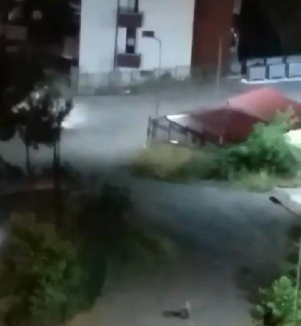 Rize Kent Merkezine İnen Yavru Ayı Kamerada