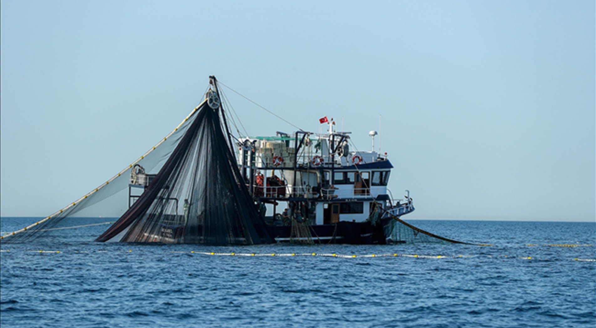 Balıkçıların palamut mesaisi sürüyor
