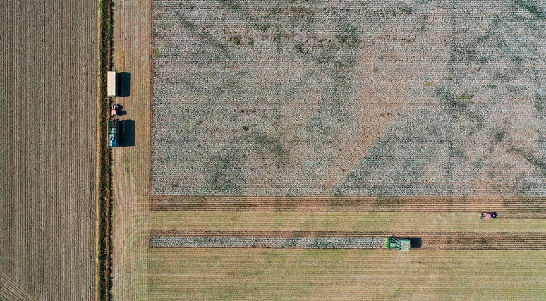 Tarımsal desteklerin artırılması üretimde sürdürülebilirliği sağlayacak