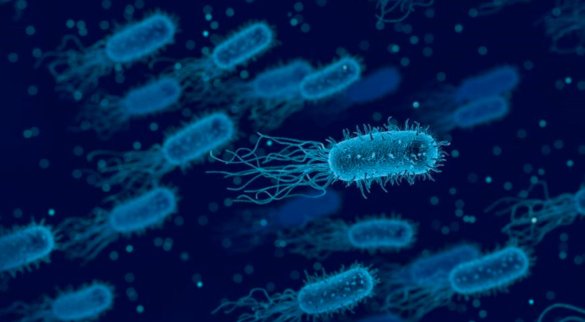 DSÖ: İnsan vücudunda antibiyotiklere karşı artan bakteri direnci, ölüm riskini artırıyor