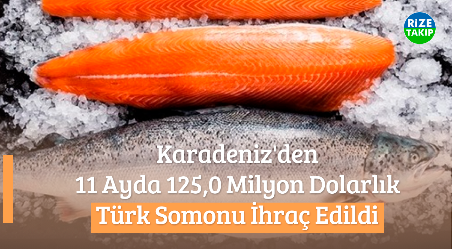 Karadeniz'den 11 Ayda 125,0 Milyon Dolarlık Türk Somonu İhraç Edildi