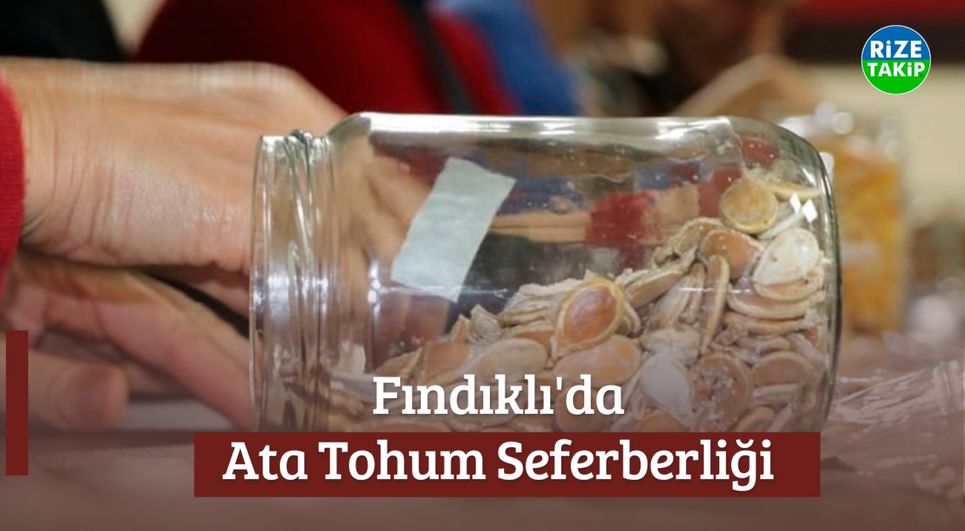 Fındıklı'da Ata Tohum Seferberliği