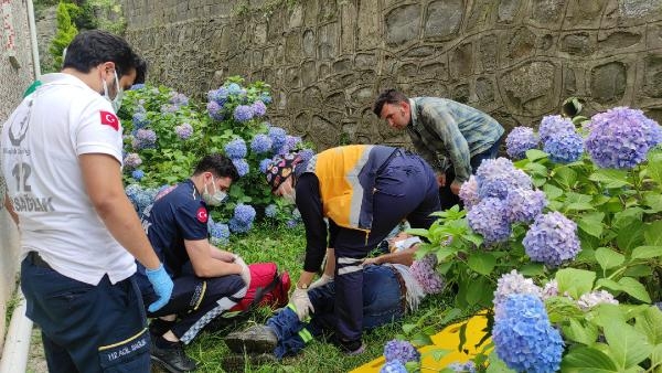 Ot biçerken yüksekten düşen belediye işçisi yaralandı