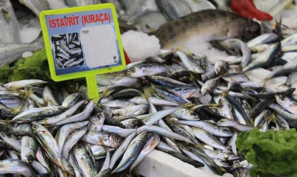 Balık tezgahlarına 'fırtına' etkisi