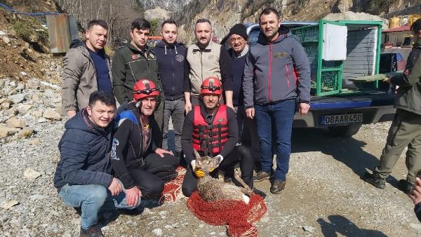 Derede Mahsur Kalan Karacayı Kurtardılar