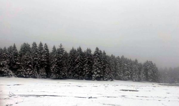 Bolu'nun yükseklerinde kar yağışı