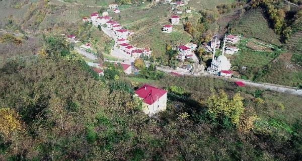 'Arazi anlaşmazlığı' çilesi; babaannesini sırtında taşıyor