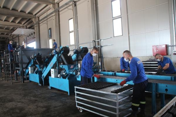 Çay Çöpünden Mangal Kömürü Ve Elektrik Enerjisi Elde Edildi