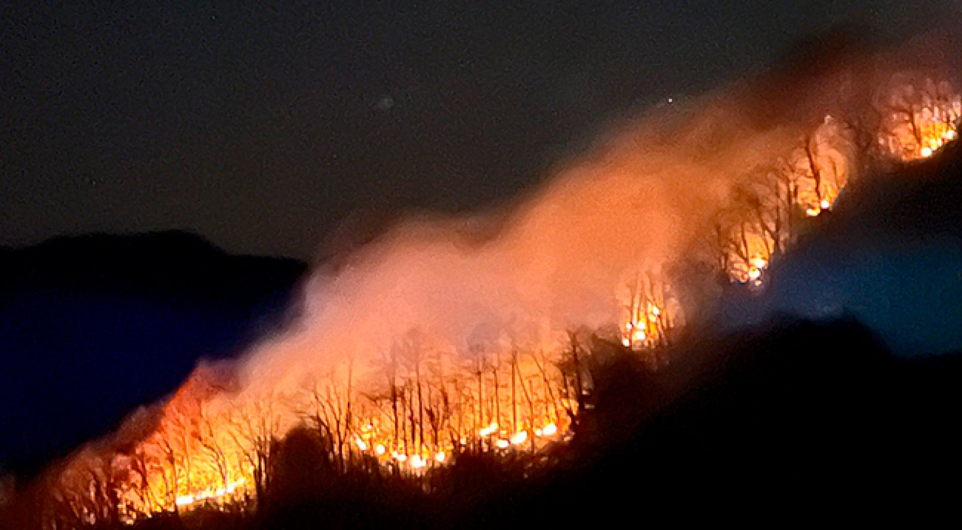 Uzmanlar uyarmıştı! Çamlıhemşin'de orman yangını