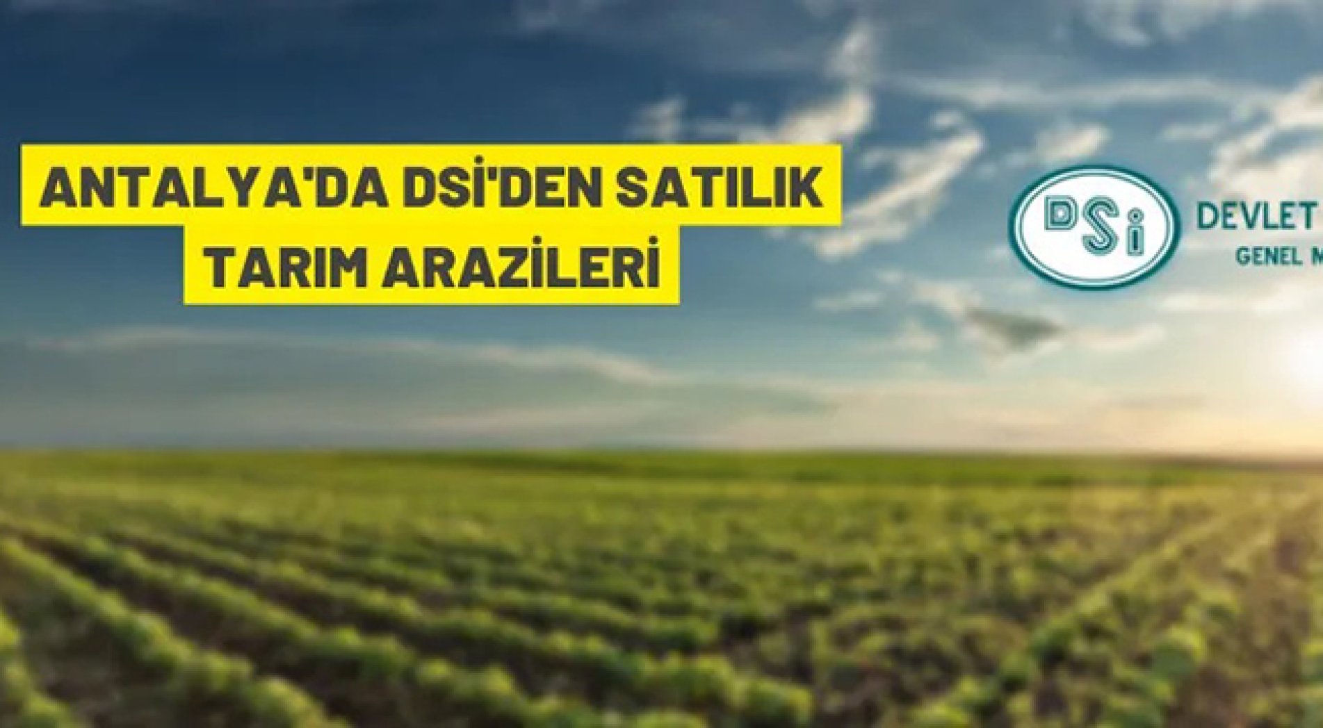 DSİ'den satılık tarım arazileri