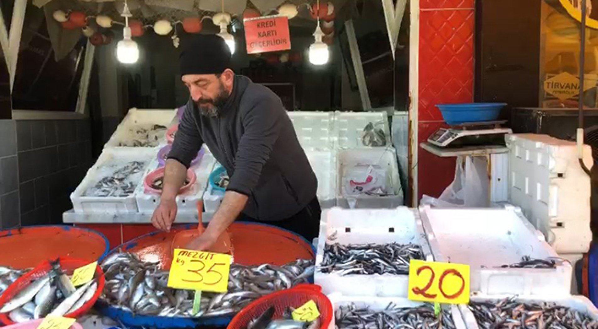 Pazarlı Balıkçı, Hamside Kampanya Yaptı