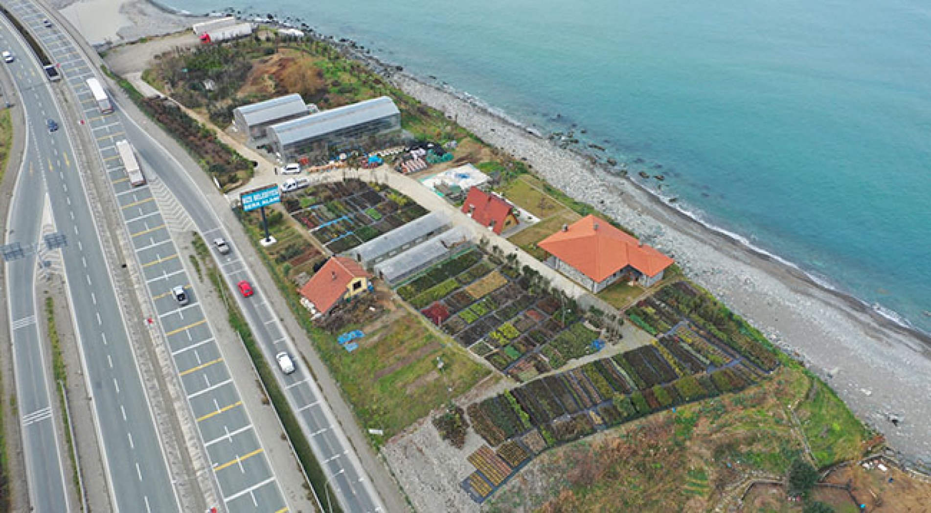 Rize Belediyesi Sera Alanında 300 Bitki Üretiliyor